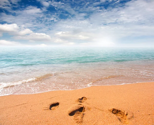 kumlu plaj ve bulutlu gökyüzü ufukta