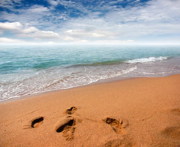 kumlu plaj ve bulutlu gökyüzü ufukta