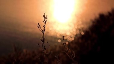 fantastik güzel desenler su ve mürekkep karıştırma çeşitli