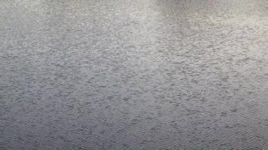 dalgalar ve kırsal bir havuzda geçerli sakin su