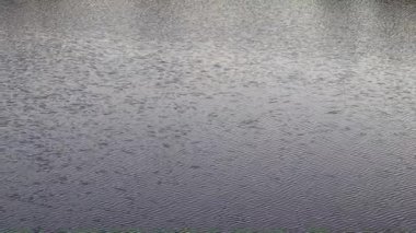 dalgalar ve kırsal bir havuzda geçerli sakin su