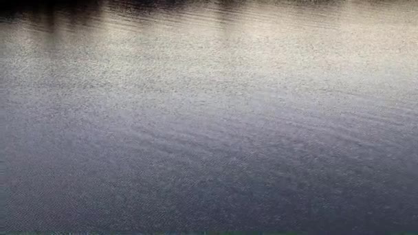 vagues et courant eau calme dans un étang rural 