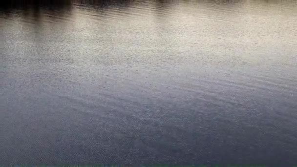 vagues et courant eau calme dans un étang rural 