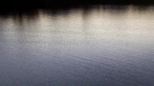 vagues et courant eau calme dans un étang rural 