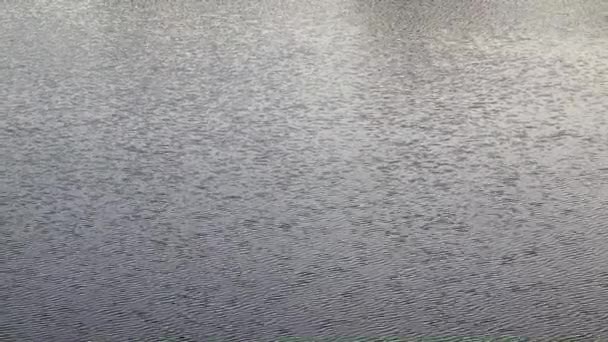 vagues et courant eau calme dans un étang rural 
