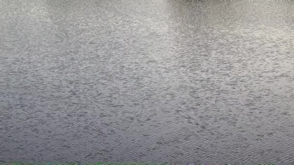 vagues et courant eau calme dans un étang rural 