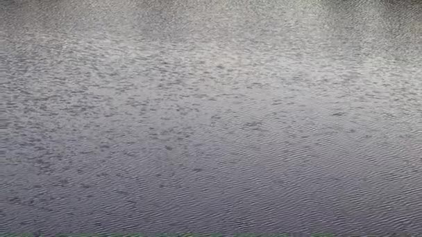 vagues et courant eau calme dans un étang rural 