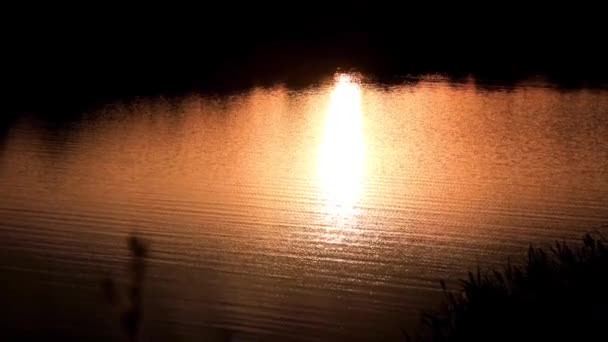 vagues et courant eau calme dans un étang rural 