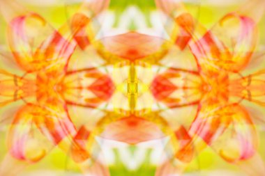 soyut resim aynalar aracılığıyla yaban hayatı fotoğrafçılığı tarafından oluşturulmuş