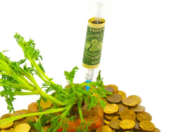Впрыск Долларов Морковь Растущую Груды Российских Металлических Монет Руб — стоковое фото