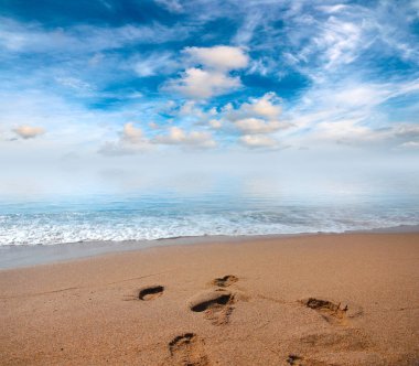 Kumsalı yaz güneşli gökyüzü altında