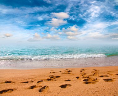Kumsalı yaz güneşli gökyüzü altında