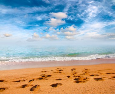 Kumsalı yaz güneşli gökyüzü altında