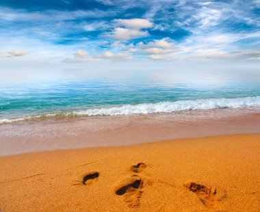 Kumsalı yaz güneşli gökyüzü altında