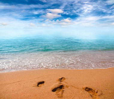 Kumsalı yaz güneşli gökyüzü altında