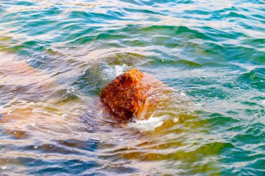 kayalık deniz kenarı dağ bloklarını deniz