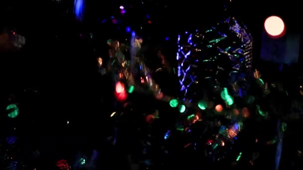Mnohobarevný Osvětlení Nové Jedlové Větve — Stock video