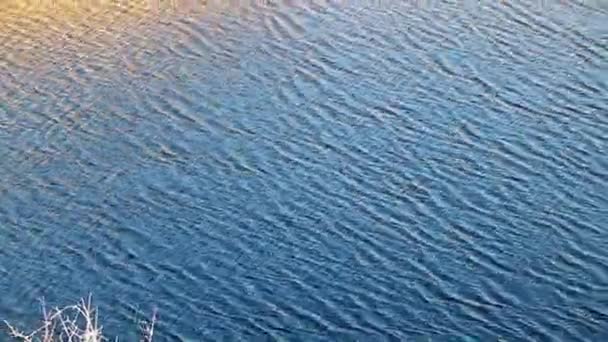 Маленькі Хвилі Спокійній Чистій Воді Водойми — стокове відео