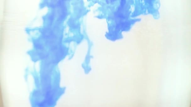 Mischen Von Sauberer Flüssigkeit Und Mehrfarbiger Farbe Auf Wasserbasis — Stockvideo