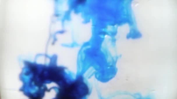 Mezcla Líquido Limpio Pintura Base Agua Multicolor — Vídeos de Stock