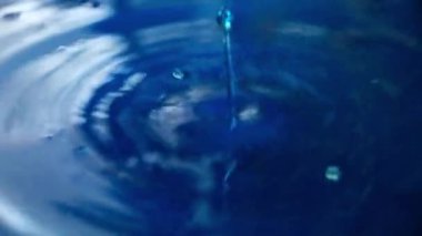 circles on the surface of the liquid after hitting a drop of water