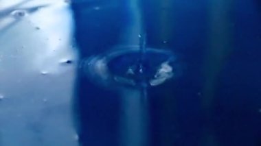circles on the surface of the liquid after hitting a drop of water