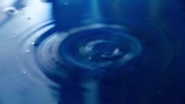 Circles Surface Liquid Hitting Drop Water — Αρχείο Βίντεο