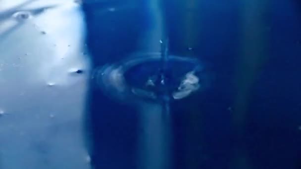 Circles Surface Liquid Hitting Drop Water — Stok video