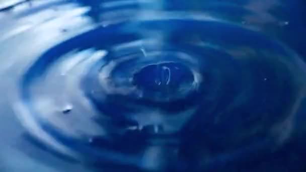 Círculos Superfície Líquido Depois Bater Uma Gota Água — Vídeo de Stock