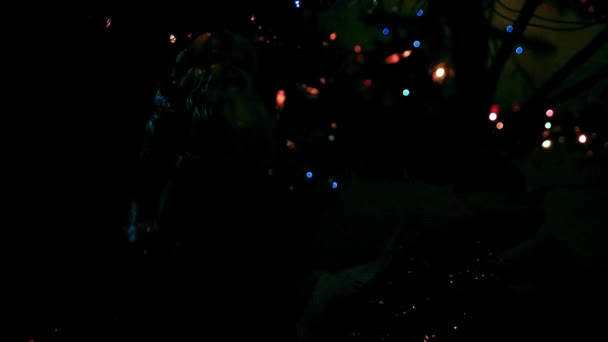 照らされたクリスマスツリーの枝に素敵なガラスのおもちゃ — ストック動画