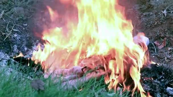 Jasné Plameny Větvích Lesním Požáru — Stock video