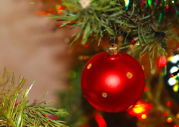 Рождественская Сосна Празднично Украшена Стеклянными Игрушками — стоковое фото