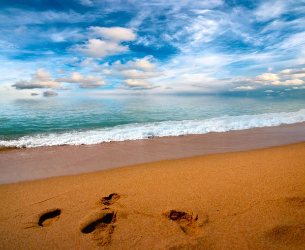 güneşli bir gökyüzü altında Akdeniz'in kumlu plaj