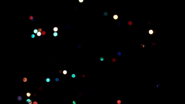 illumination festive sur les branches du pin de Noël 