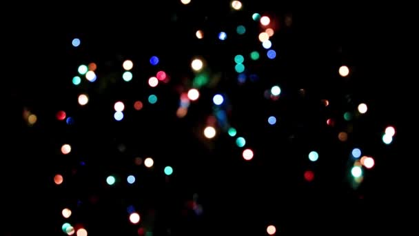 Noel Çam Dallarında Şenlikli Aydınlatma — Stok video