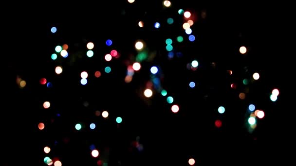 Iluminación Festiva Las Ramas Del Pino Navidad — Vídeos de Stock