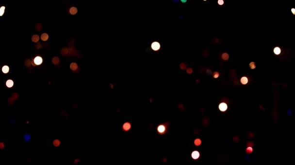 Festlig Belysning Grenarna Julen Tall — Stockvideo
