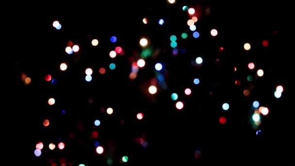 Iluminación Festiva Las Ramas Del Pino Navidad — Vídeo de stock