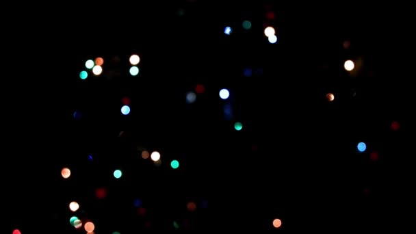 Festive Illumination Branches Christmas Pine — Stock Video