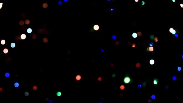 Праздничное Освещение Ветвях Рождественской Сосны — стоковое видео