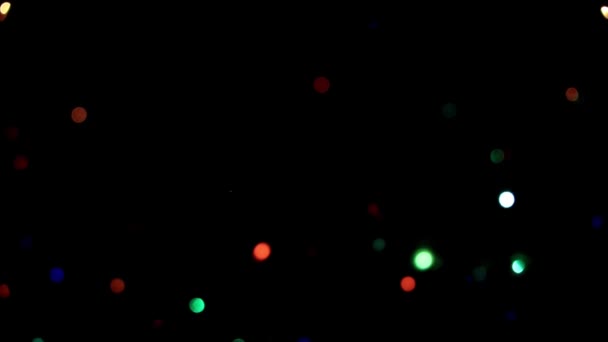 크리스마스 소나무의 가지에 — 비디오