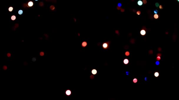 illumination festive sur les branches du pin de Noël 