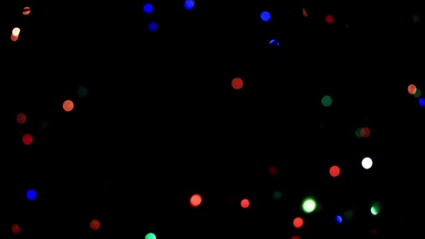 illumination festive sur les branches du pin de Noël 