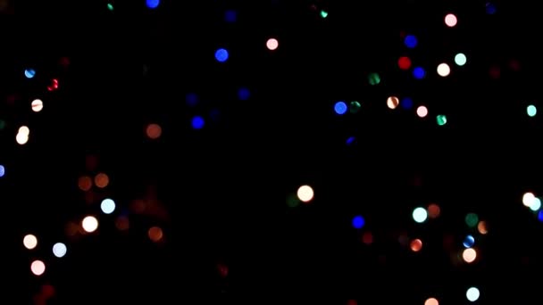 illumination festive sur les branches du pin de Noël 