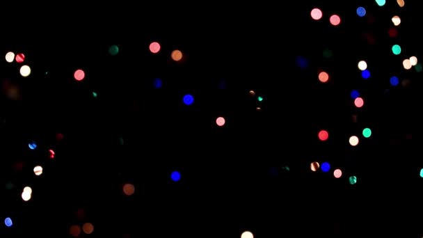圣诞松枝上的节日照明 — 图库视频影像