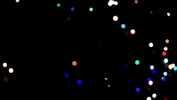 Праздничное Освещение Ветвях Рождественской Сосны — стоковое видео