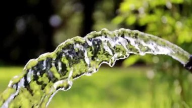 çayırları sularken temiz akan su akışı