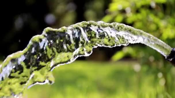 牧草地に水をやるときのきれいな流水の流れ — ストック動画