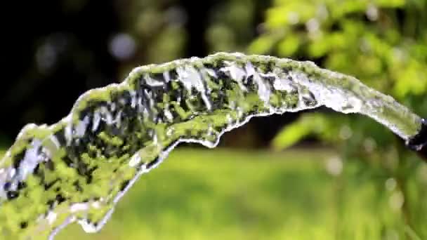 Ρέει Καθαρό Τρεχούμενο Νερό Όταν Ποτίζει Λιβάδια — Αρχείο Βίντεο