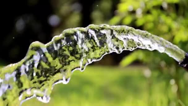 Flusso Acqua Corrente Pulita Durante Irrigazione Dei Prati — Video Stock